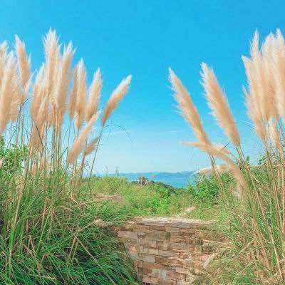 A500增强ETF摩根（563550）跌1.22%，成交额1090.57万元