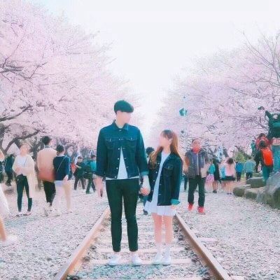 国际物流获客软件推荐：2026年这5款值得关注