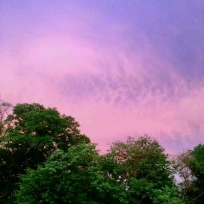 3月26日热门中概股多数上涨 京东涨8.3%，慧荣科技跌6.5%