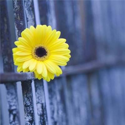 多功能 AC/DC 电源模块树立了功...