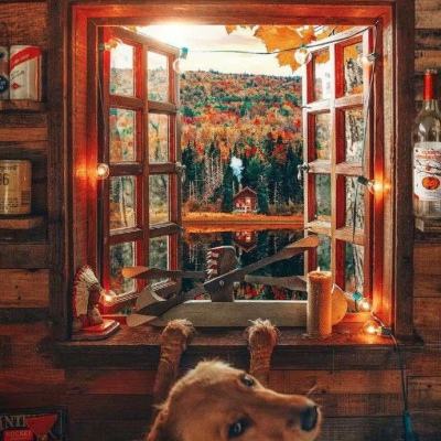 水润初心，向光而行：让女性力量...