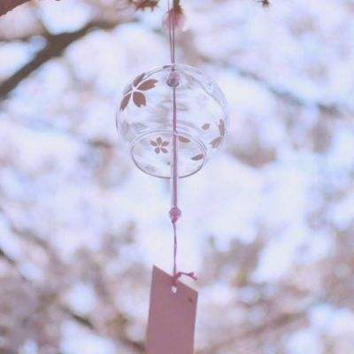 在 Super Micro 案件之后，《芯片安全法案》在众议院获得通过。