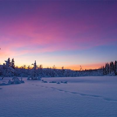 跨界？王菲客串模特走秀气场强大