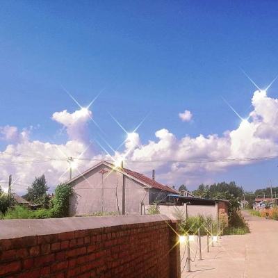 乐鱼体育App苹果版