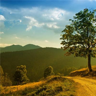 崔永元：向范冰冰致歉 “4天6000万合同”与她无关