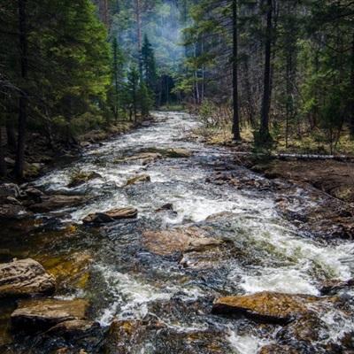 华夏基金一季度新发基金“哑火”：仅5只新基，31亿规模，发行规模排名滑落至27位